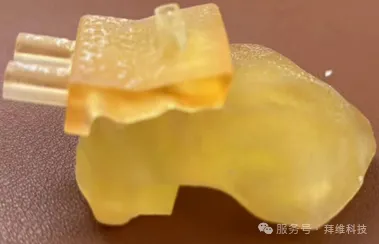 距骨侧导板
